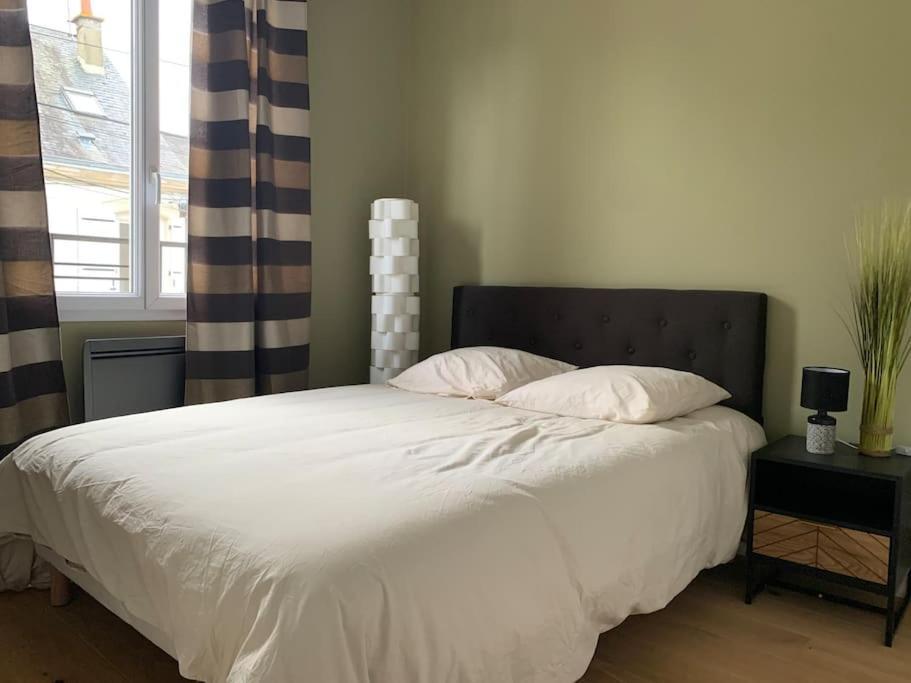 Appartements De Standing Centre Ville, Gare, Jardin,Terrasse 르망 외부 사진