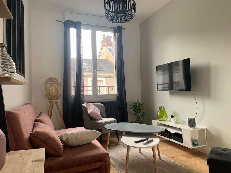 Appartements De Standing Centre Ville, Gare, Jardin,Terrasse 르망 외부 사진