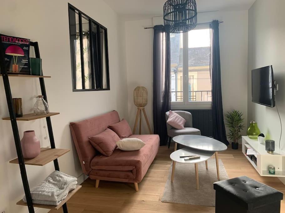 Appartements De Standing Centre Ville, Gare, Jardin,Terrasse 르망 외부 사진